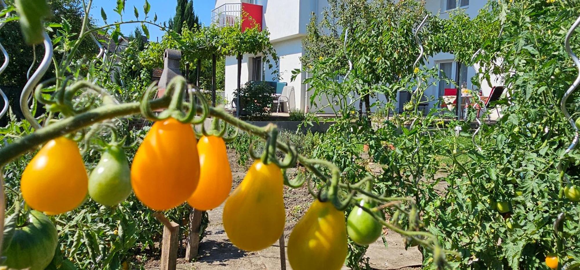 Erhol 'Dich Am Berg Daire Viyana Dış mekan fotoğraf