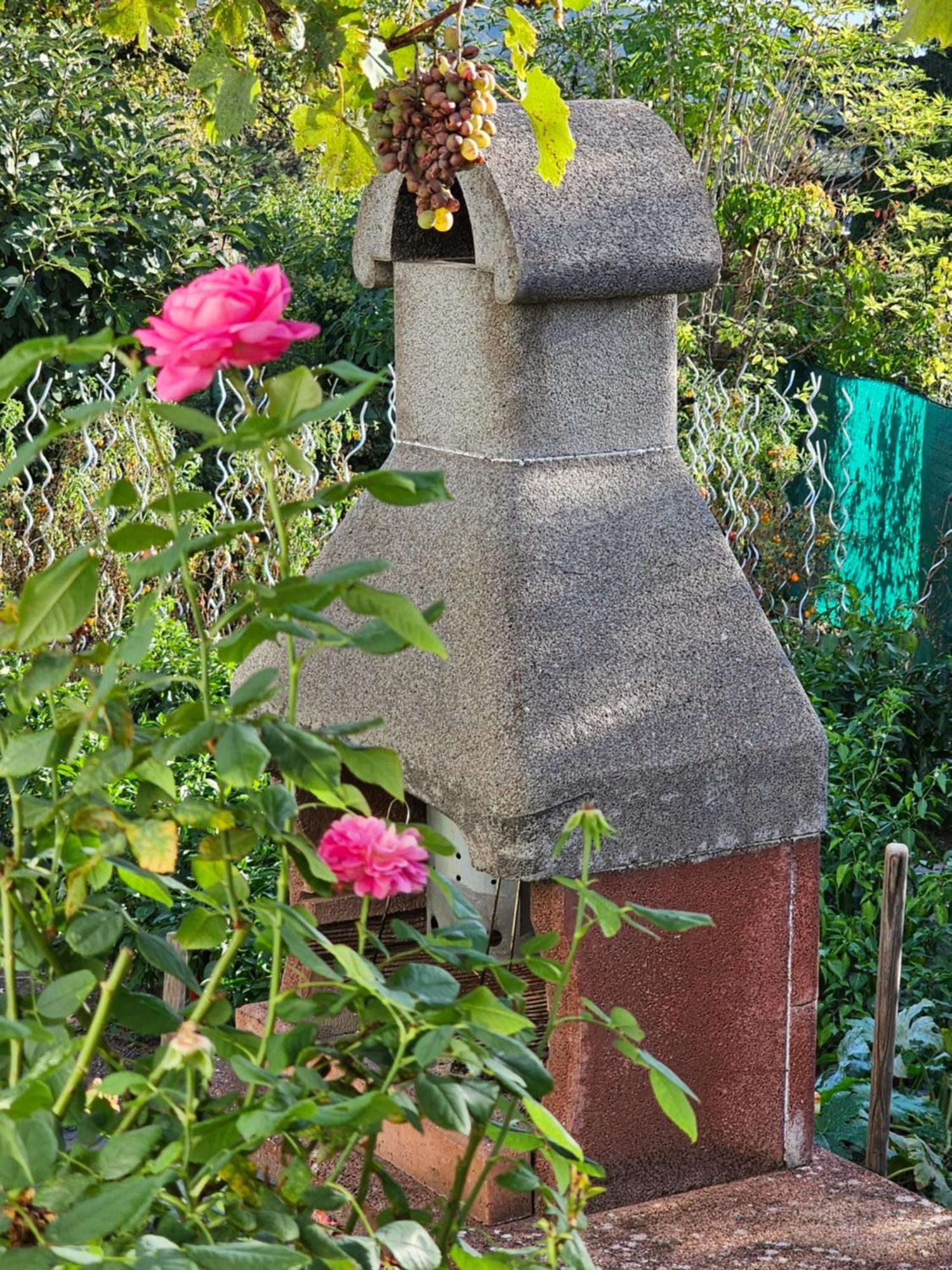 Erhol 'Dich Am Berg Daire Viyana Dış mekan fotoğraf
